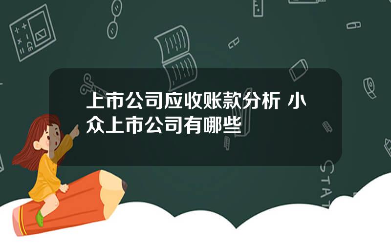 上市公司应收账款分析 小众上市公司有哪些